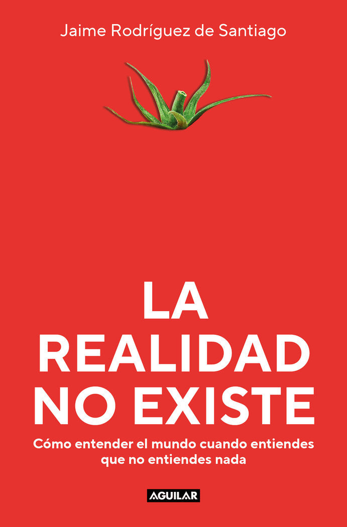 La realidad no existe, de JAIME RODRIGUEZ DE SANTIAGO | portada del libro