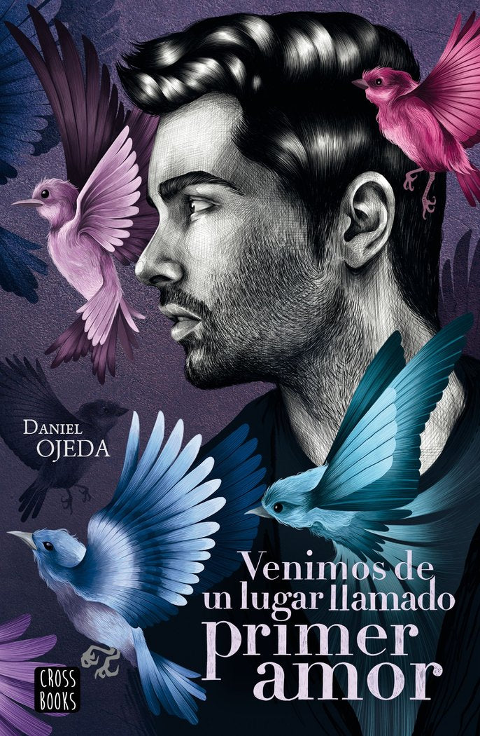 Venimos de un lugar llamado primer amor, de Ojeda Checa, Daniel | portada del libro