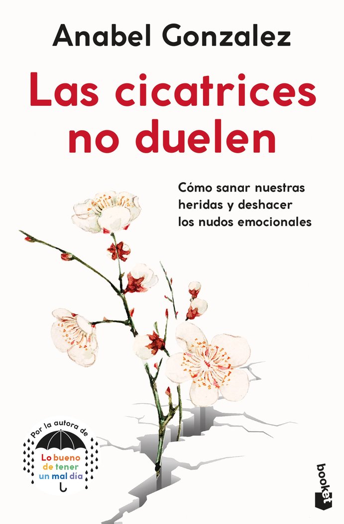 LAS CICATRICES NO DUELEN, de ANABEL GONZALEZ | portada del libro
