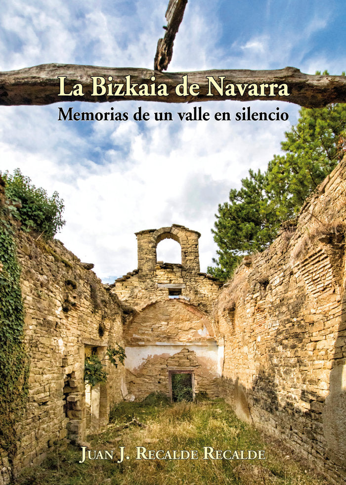 La Bizkaia de Navarra. Memorias de un valle en silencio, de Recalde Recalde, Juan Jesús | portada del libro