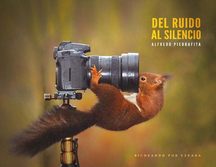 Del ruido al silencio, de Piedrafita Gómez, Alfredo | portada del libro