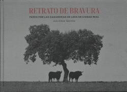 RETRATO DE BRAVURA, de JULIO CESAR SANCHEZ GOMEZ | portada del libro