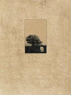 El vuelo lleva al vuelo, de JUANMA REQUENA | portada del libro