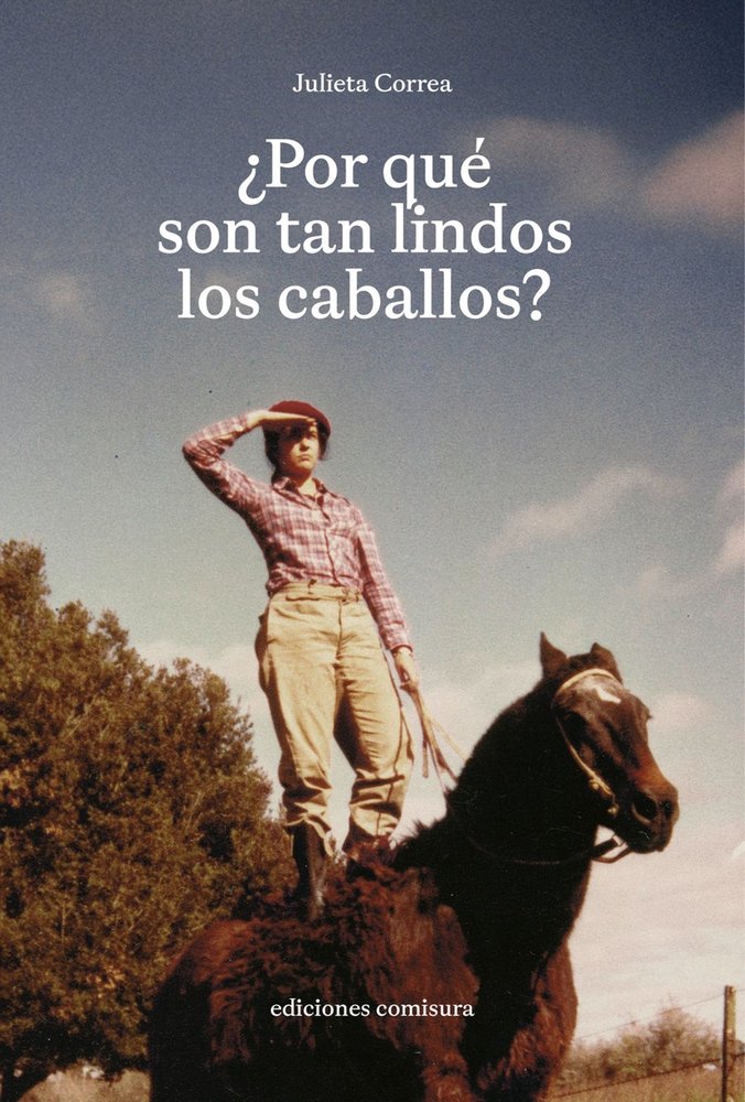 POR QUE SON TAN LINDOS LOS CABALLOS, de CORREA,JULIETA | portada del libro