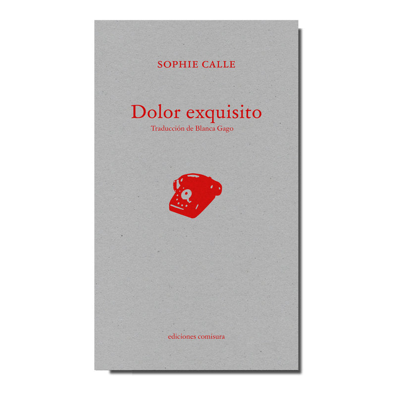 DOLOR EXQUISITO, de CALLE,SOPHIE | portada del libro