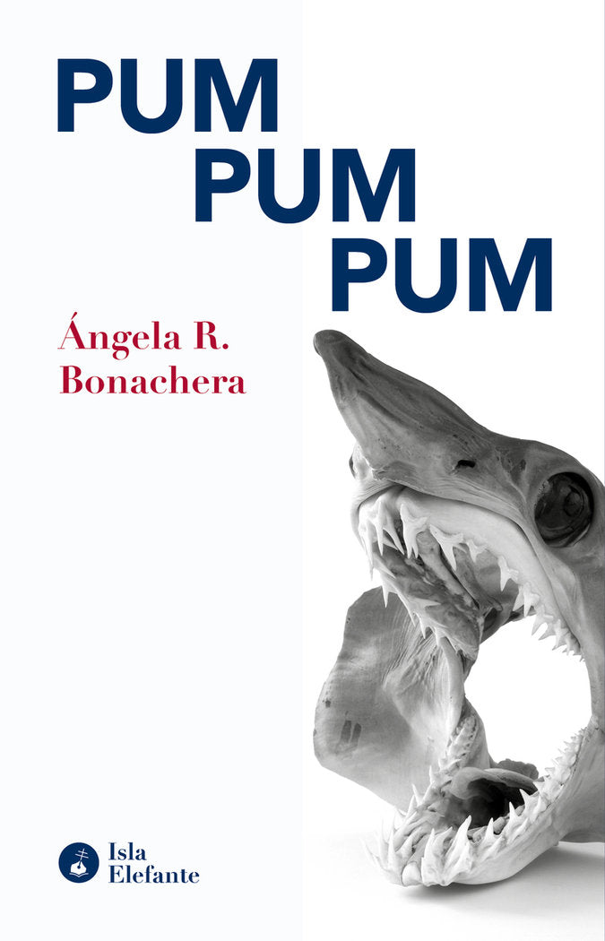 PUM PUM PUM, de R.BONACHERA,ANGELA | portada del libro