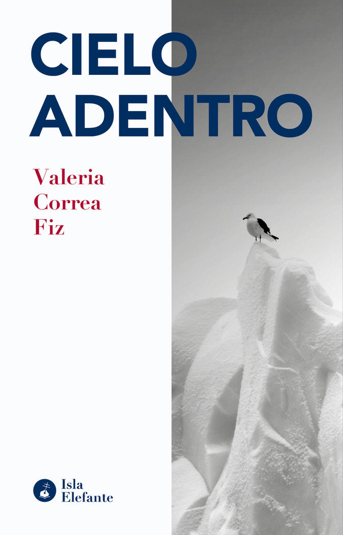 Cielo adentro, de CORREA FIZ, VALERIA | portada del libro