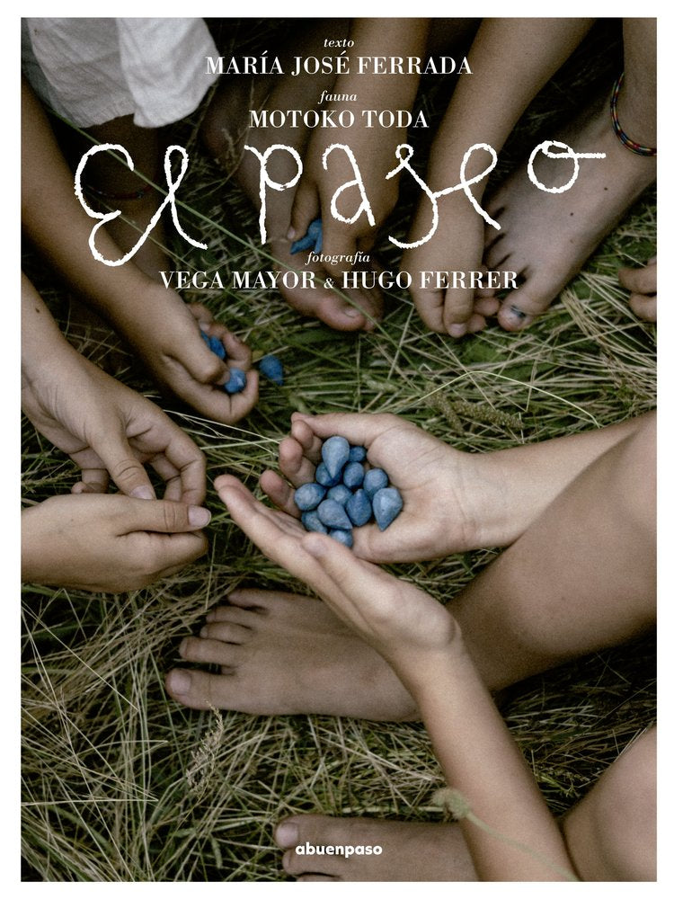 El paseo, de FERRADA,MARIA JOSE | portada del libro