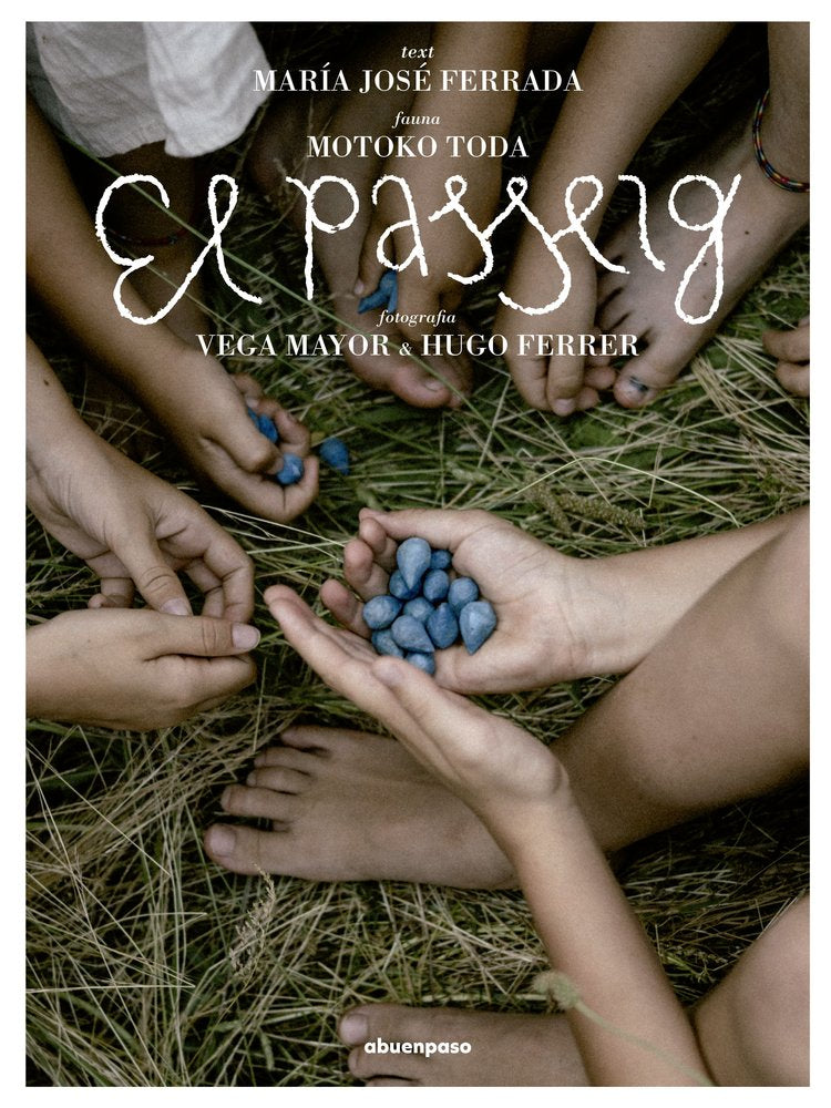 El Passeig, de VEGA MAYOR | portada del libro