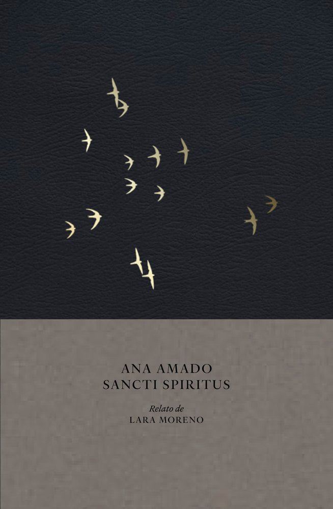 Sancti spiritus., de AMADO | portada del libro