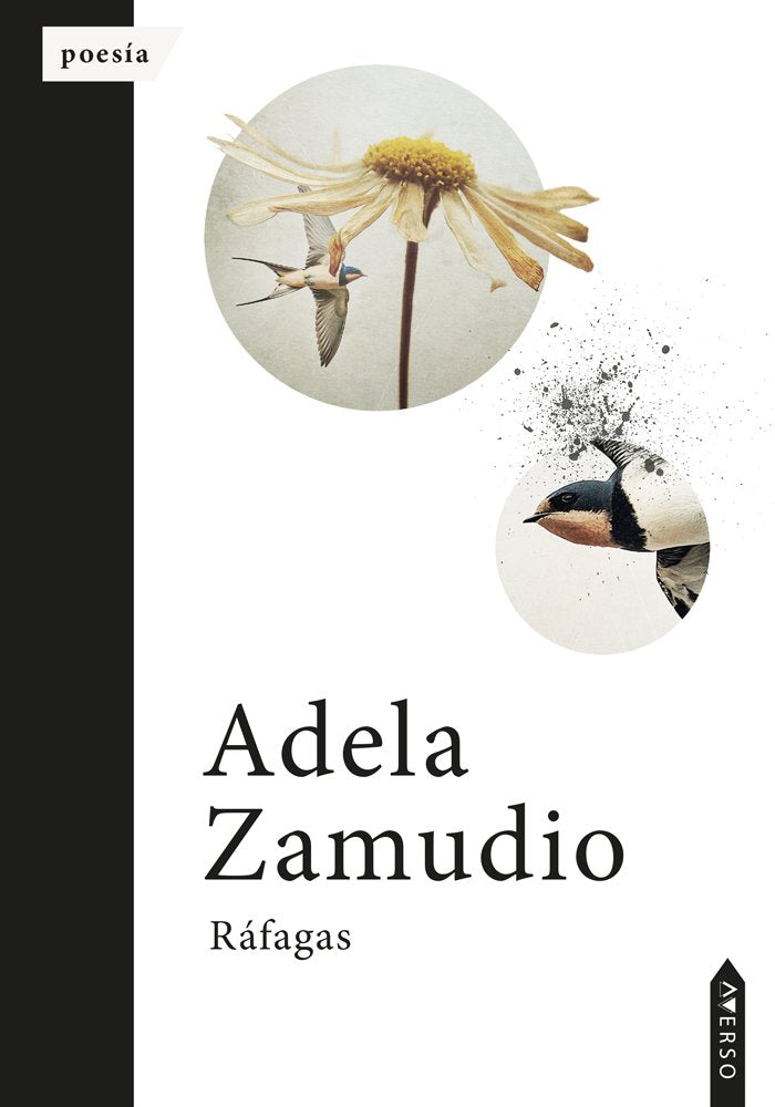 Ráfagas, de , Zamudio, Adela | portada del libro