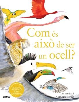 COM ÉS AIXÒ DE SER UN OCELL?, de BIRKHEAD | portada del libro
