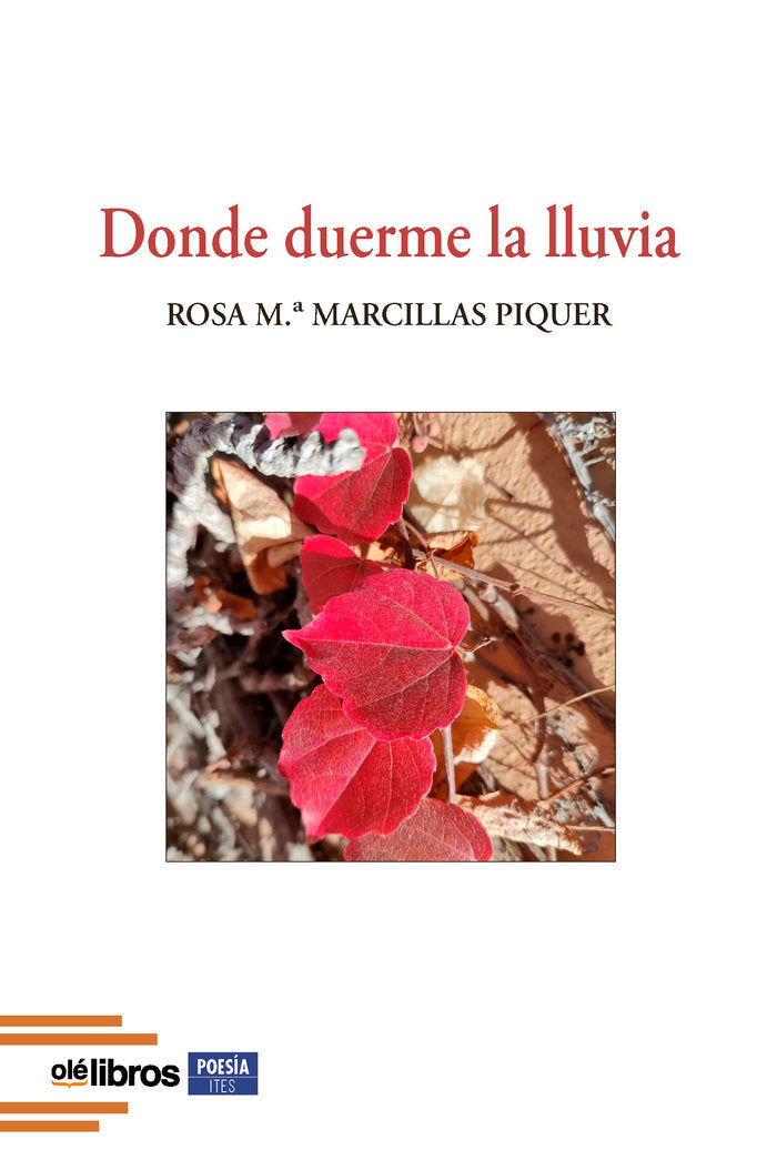 Donde duerme la lluvia, de Marcillas Piquer, Rosa M.ª | portada del libro