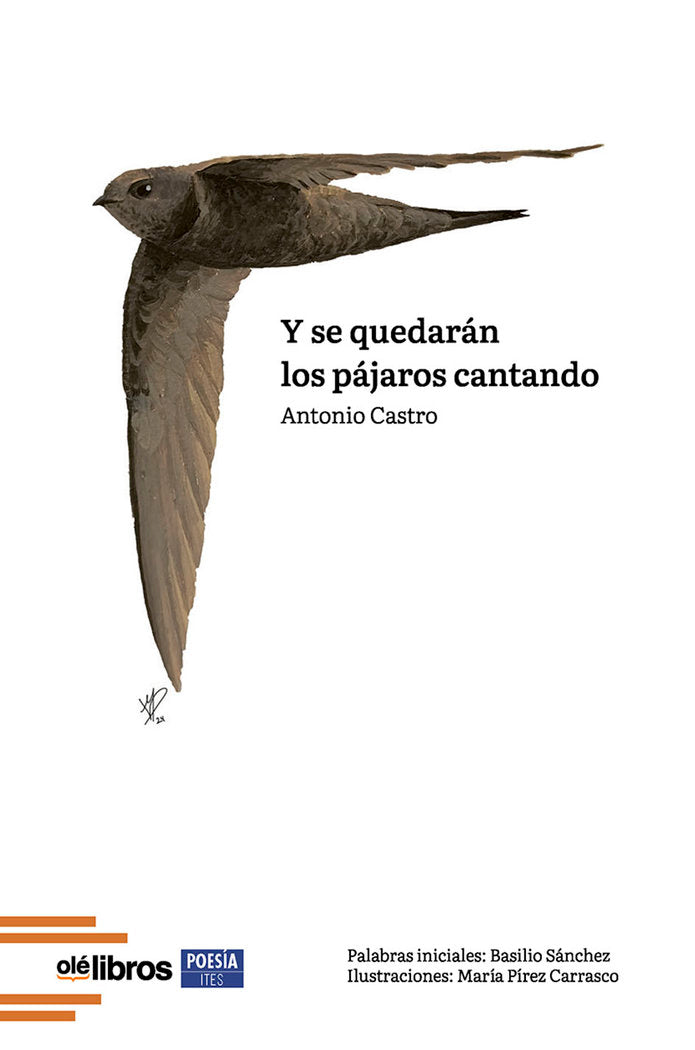 Y se quedarán los pájaros cantando, de Castro Sánchez, Antonio | portada del libro
