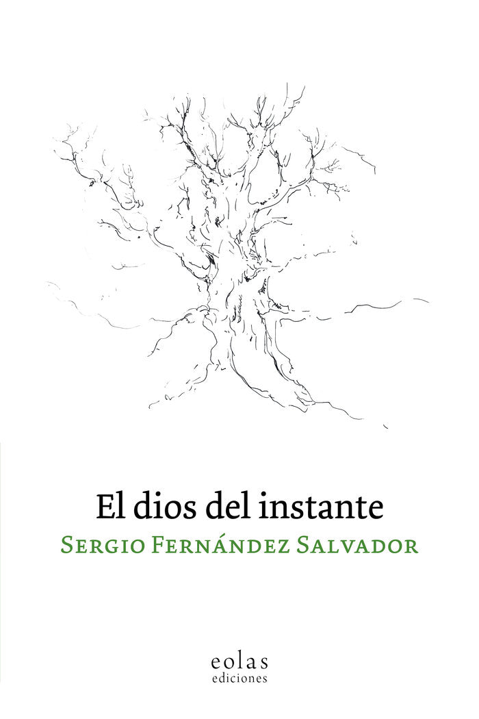 El dios del instante, de FERNANDEZ SALVADOR, SERGIO | portada del libro