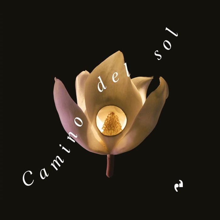 CAMINO DEL SOL, de GARCIA FUERTES, ALEJANDRA | portada del libro
