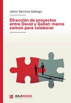 Dirección de proyectos entre David y Goliat: marco común para colaborar, de JAIME SANCHEZ GALLEGO | portada del libro