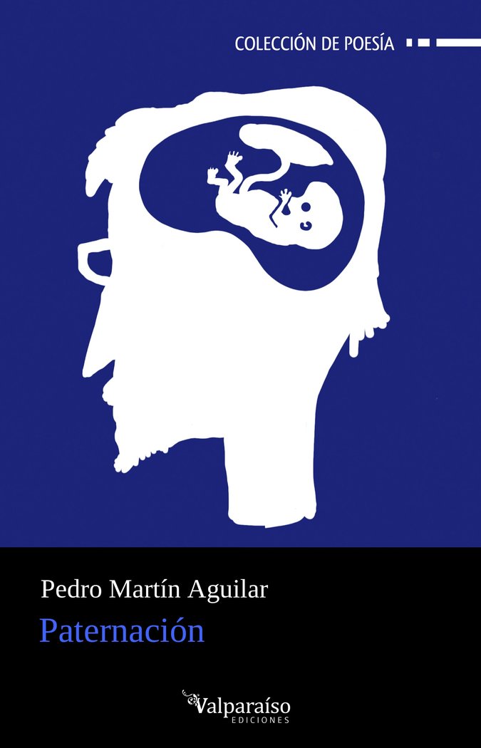 PATERNACION, de MARTIN AGUILAR, PEDRO | portada del libro