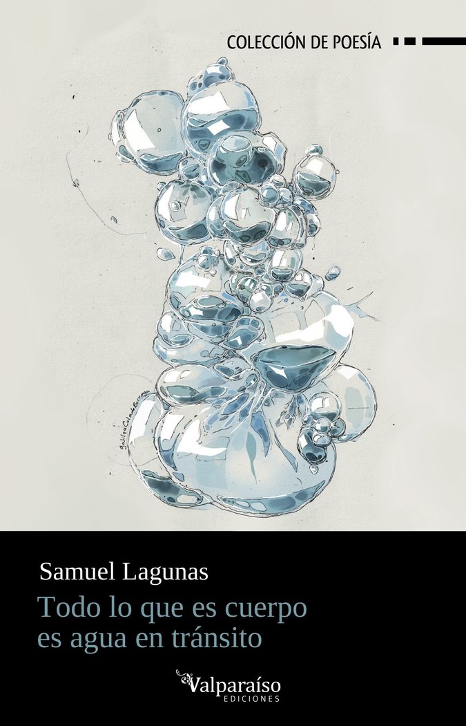 TODO LO QUE ES CUERPO ES AGUA EN TRANSITO, de LAGUNAS, SAMUEL | portada del libro