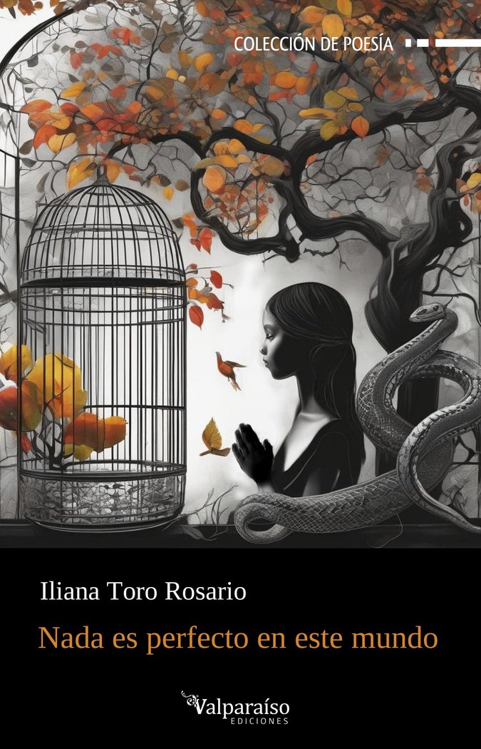 Nada es perfecto en este mundo, de TORO ROSARIO, ILIANA | portada del libro