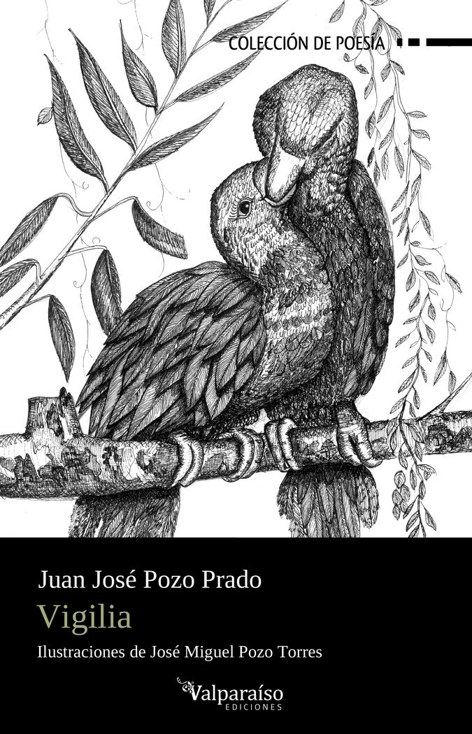 VIGILIA, de POZO PRADO,JUAN JOSE | portada del libro