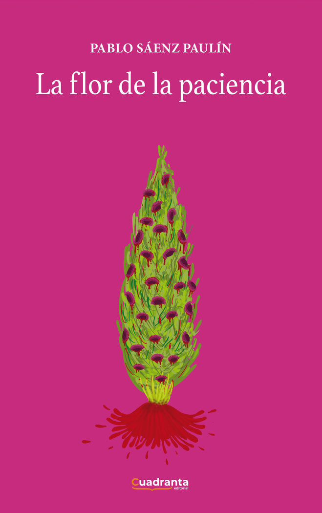 La flor de la paciencia, de Sáenz Paulín, Pablo | portada del libro