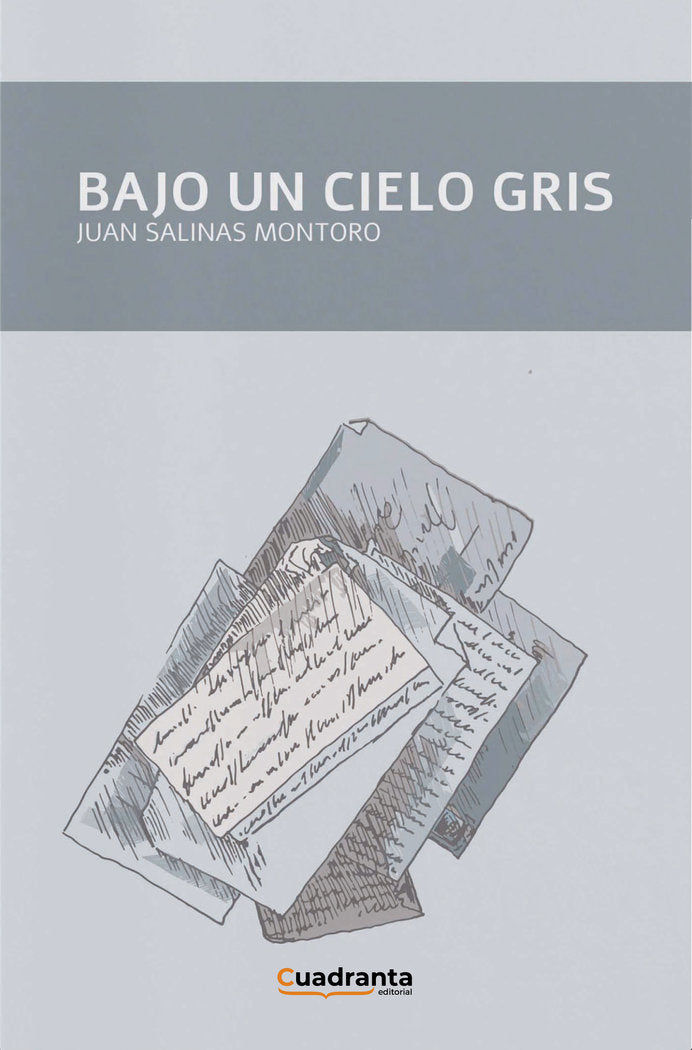 Bajo un cielo gris, de , Salinas Montoro, Juan | portada del libro