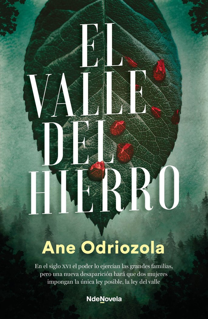 EL VALLE DEL HIERRO, de ANE ODRIOZOLA | portada del libro