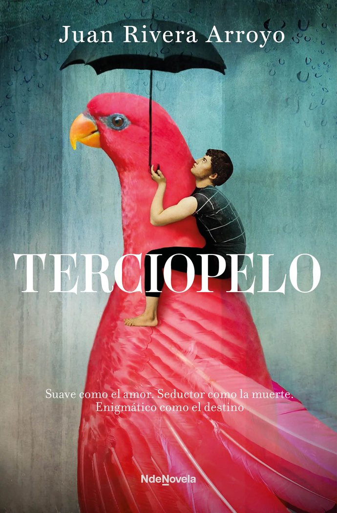 TERCIOPELO, de RIVERA ARROYO, JUAN | portada del libro