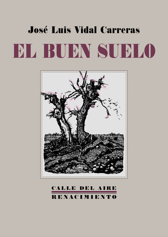 EL BUEN SUELO, de VIDAL CARRERAS, JOSE LUIS | portada del libro