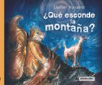 ¿QUÉ ESCONDE LA MONTAÑA?, de DANIEL NAVARRO | portada del libro
