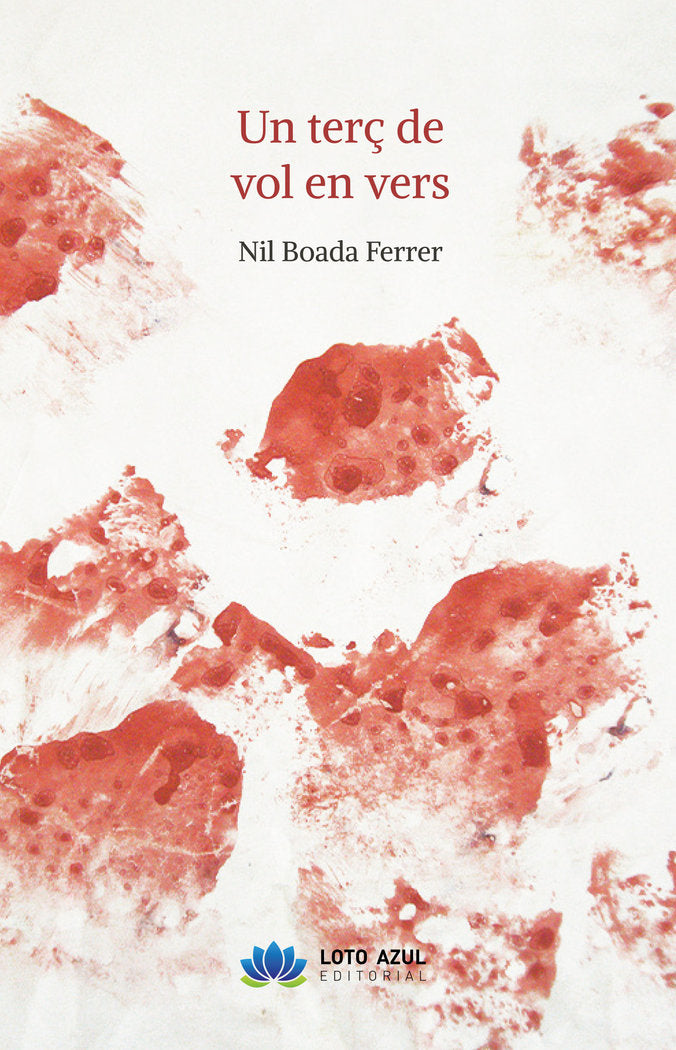 Un terç de vol en vers, de Boada Ferrer, Nil | portada del libro