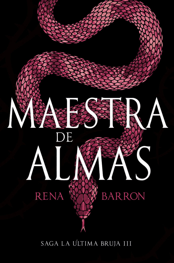 MAESTRA DE ALMAS, de BARRON, RENA | portada del libro