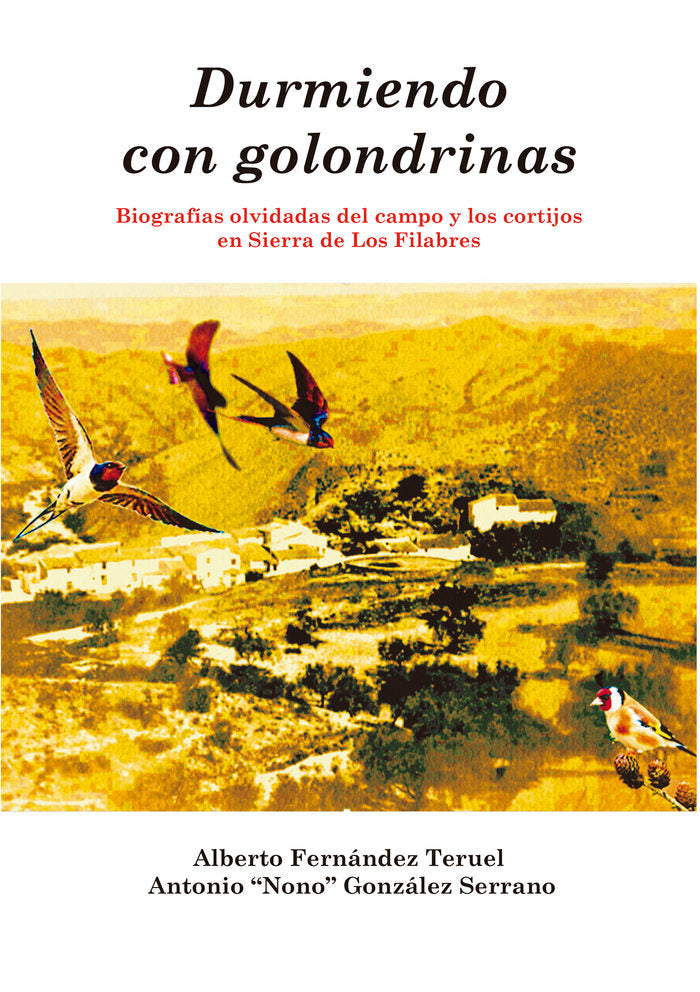 DURMIENDO CON GOLONDRINAS, de Fernández Teruel, Alberto | portada del libro