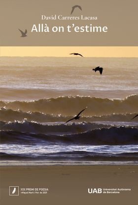ALLA ON T'ESTIME, de DAVID CARRERES LACASA | portada del libro