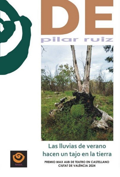LLUVIAS DE VERANO HACEN UN TAJO EN LA TIERRA, LAS, de PILAR RUIZ | portada del libro