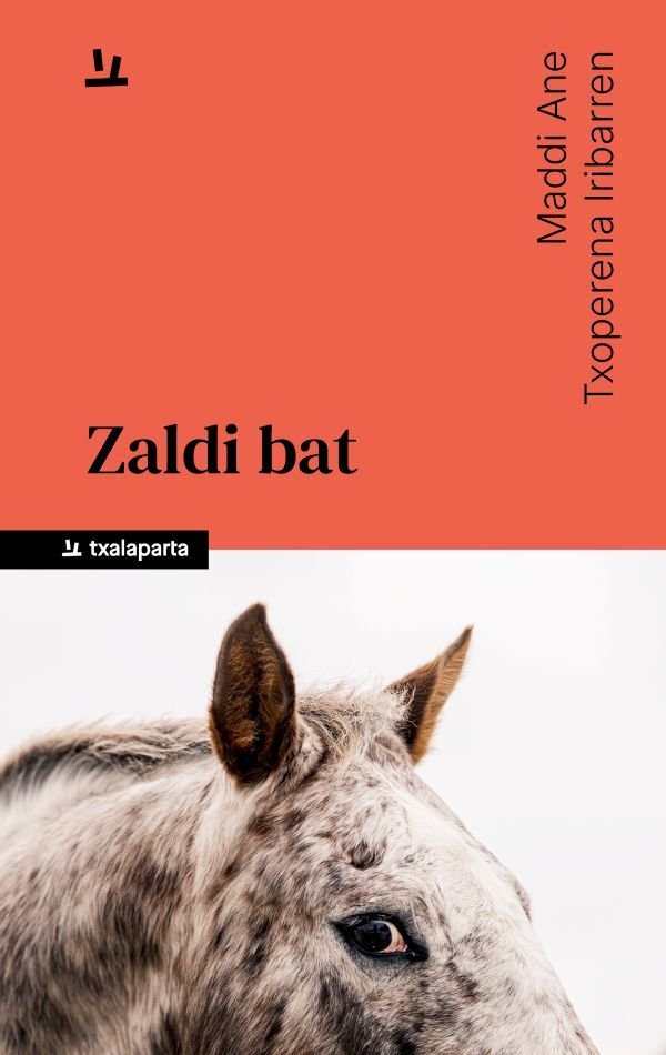ZALDI BAT, de TXOPERENA IRIBARREN, MADDI ANE | portada del libro
