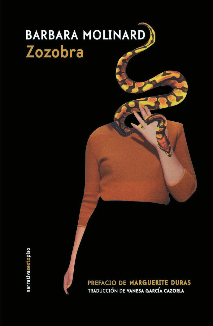 ZOZOBRA, de MOLINARD , BARBARA | portada del libro