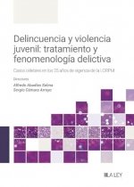 DELINCUENCIA Y VIOLENCIA JUVENIL: TRATAMIENTO Y FENOMENOLOGIA DELICTIVA | portada del libro