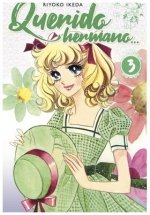 QUERIDO HERMANO 03, de IKEDA, RIYOKO | portada del libro
