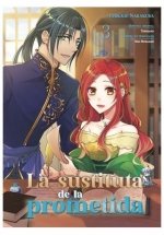 LA SUSTITUTA DE LA PROMETIDA 03, de TOBIRANO | portada del libro
