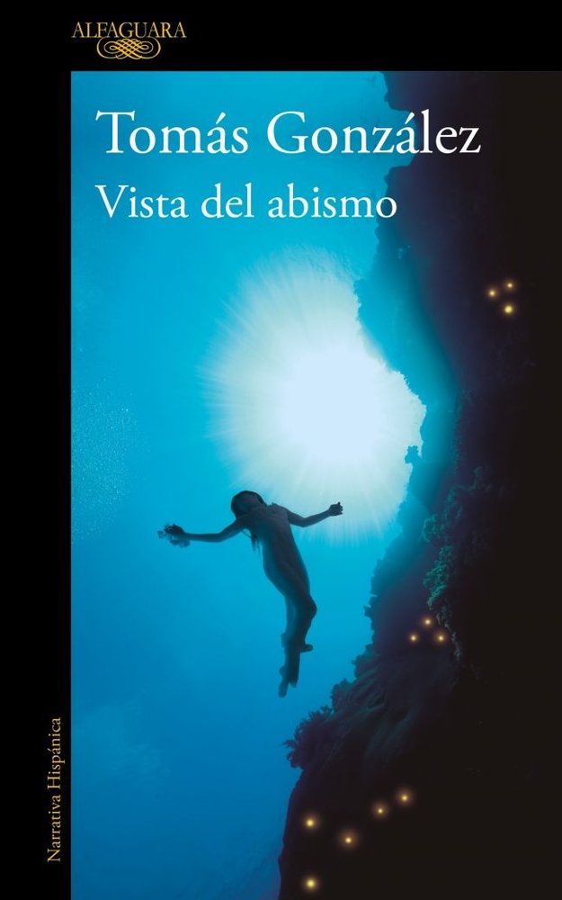 Vista del abismo, de TOMAS GONZALEZ | portada del libro