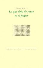 LO QUE DEJA DE VERSE EN EL FULGOR, de Antonio Manilla | portada del libro