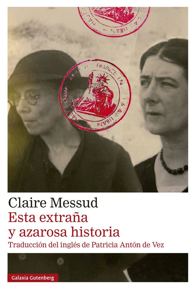 ESTA EXTRAÑA Y AZAROSA HISTORIA, de MESSUD | portada del libro