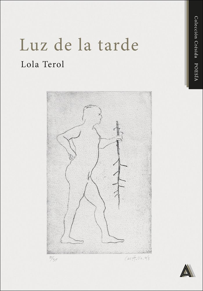 Luz de la tarde, de , Terol, Lola | portada del libro