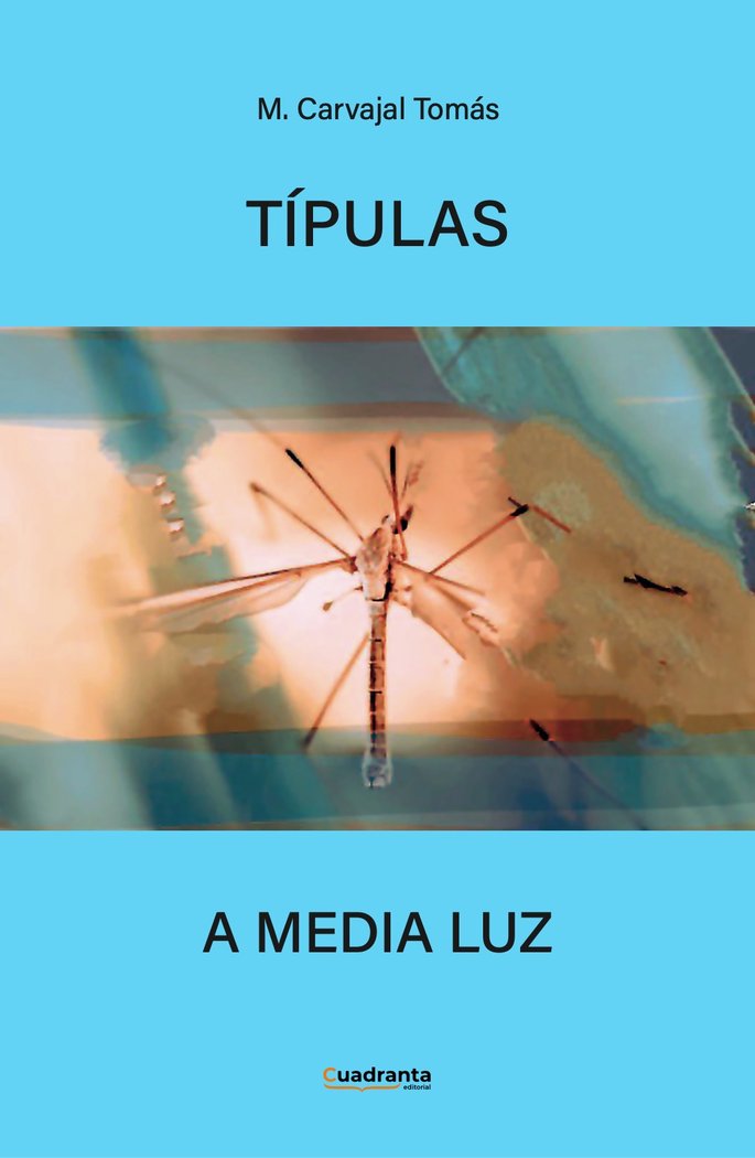 Típulas a media luz, de , Carvajal Tomás, Manuela | portada del libro