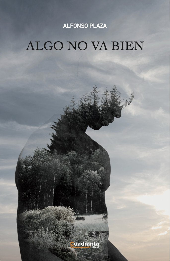 Algo no va bien, de , Plaza Plaza, Alfonso | portada del libro