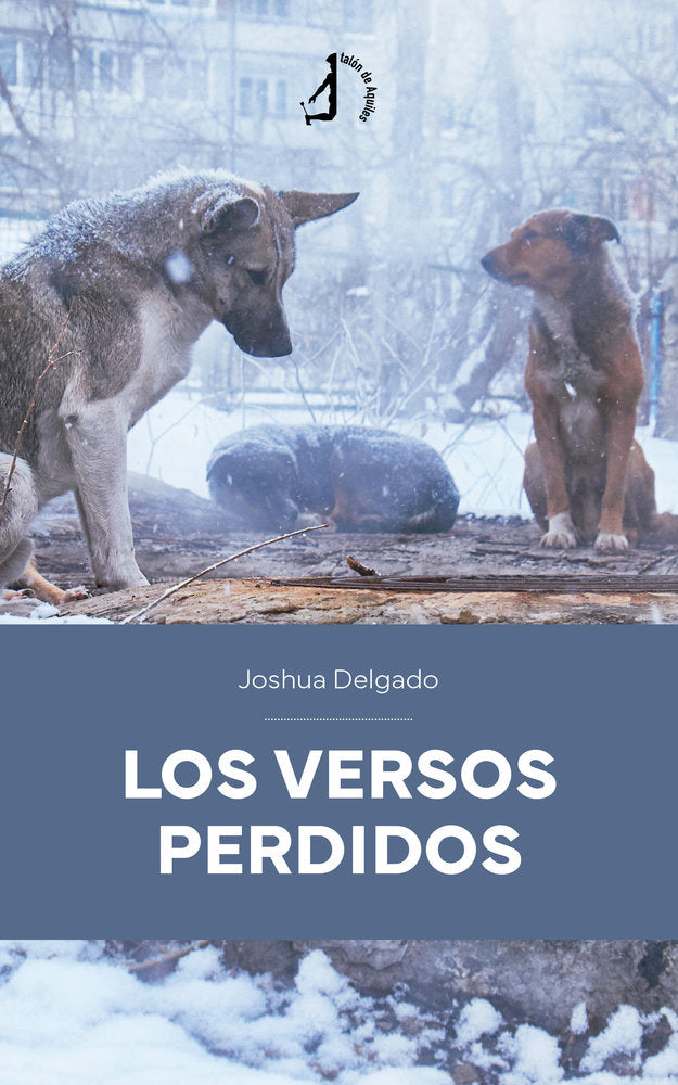 Los versos perdidos, de , Delgado, Joshua | portada del libro