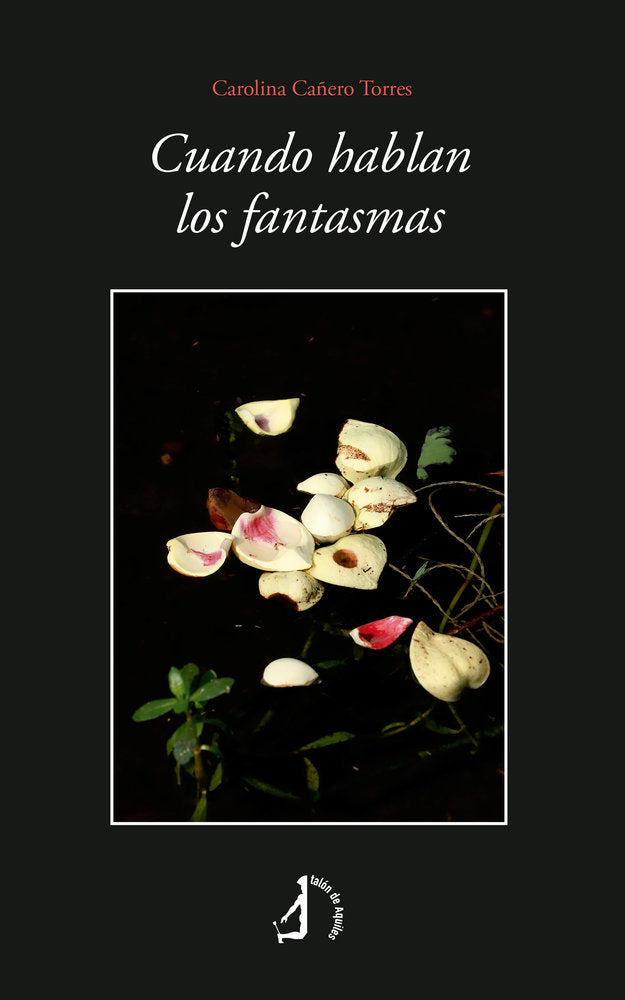 Cuando hablan los fantasmas, de , Cañero Torres, Carolina | portada del libro