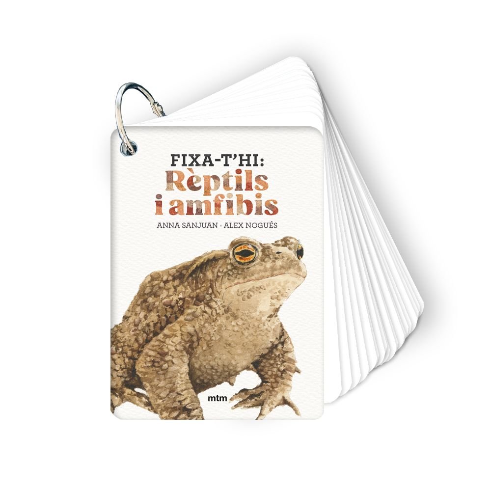 FIXA-T'HI: REPTILS I AMFIBIS, de SANJUAN LLORENS, ANNA | portada del libro